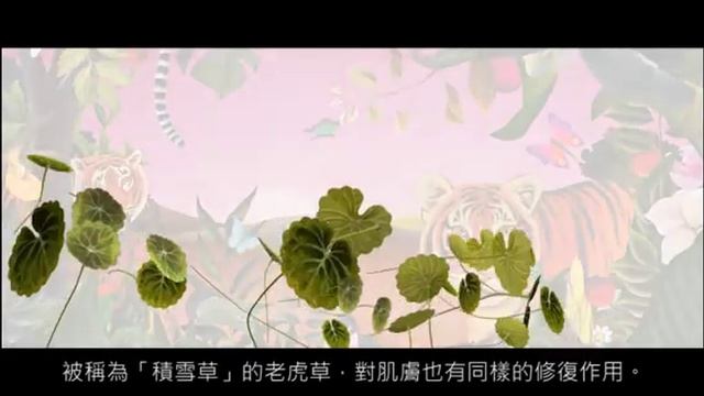 Dr.Jart+老虎草呼呼修護系列 2018全新上市！