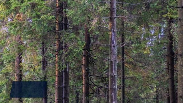 "Boost Your Brain Function with Natural Nutrition: Nourish Your Mind Today" смотреть онлайн