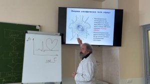 Физические основы ЭКГ