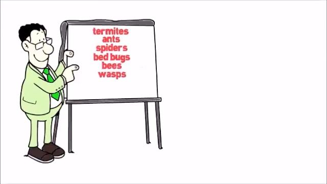 San Ramon Pest Control | Pest Control Company in San Ramon | Hitmen Pest