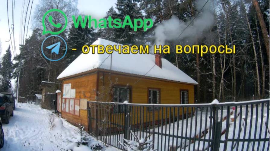 WhatsApp  Telegram - обсуждаем вопросы