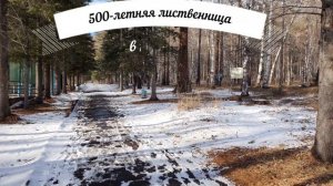 Аршан, Жемчуг, "Солнечная" обсерватория, водопады, маралы, дацан, целебные источники