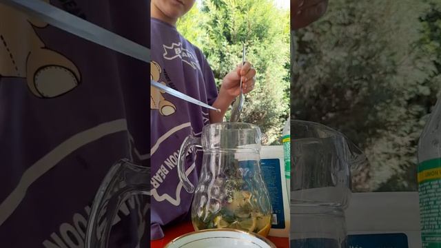 домашний рецепт Мохито🍸🍸🍸 #ретцепт #махлиёмансурова
