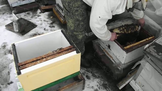 Ошибки пчеловода ранней весной смотреть онлайн