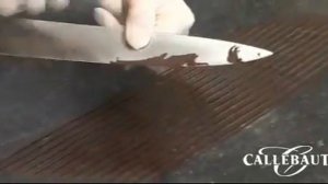 [AR] Callebaut chocolate decorations