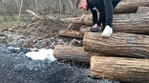 Аккумуляторная пила DDE BlueTech CSB 400 - 12