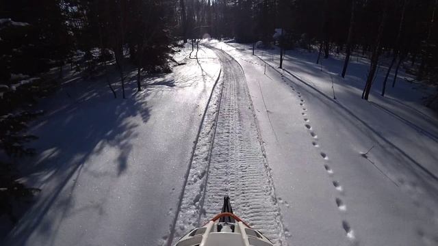 На снегоходе, по тропинке в урочище Петровка смотреть онлайн