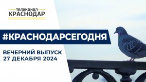 Подведение итогов года, выбор праздничной ели и новогодний макияж. Новости 27 декабря