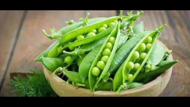 Польза и вред зеленого горошка