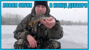 Рыбалка в конце декабря. Ловля окуней. Перекус на природе