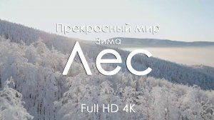 Зимний лес Тишина покой и музыка фортепиано для души и релакса Full HD Ultra HD 4K