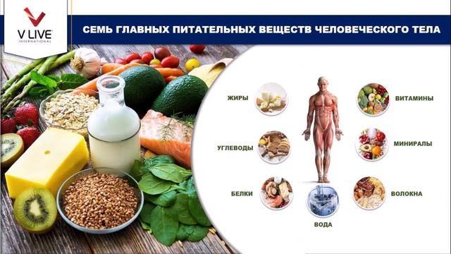 Философия клеточного питания смотреть онлайн