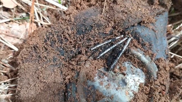 Копал монеты и нашел немецкую высотку смотреть онлайн