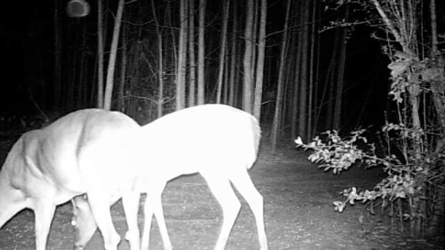 DC-103 смотреть онлайн