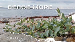 Лучшие стоянки за все время путешествия - Часть 7. Белое Море на байдарке Викинг 4,7, 2022 год.