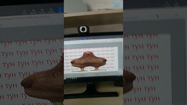 тун тун ТУУН