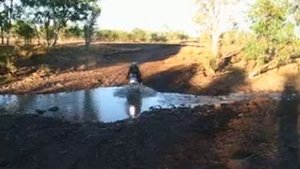 bmw 1150 GS adventure