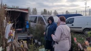 ЕйскРынок выходного дня на юге. Наши покупки.  Новости о соседе Ольги