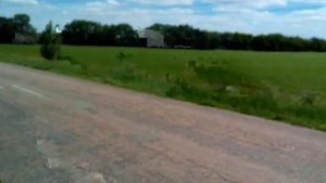 9 июня СОСТОЯНИЕ ЛИПЫ Готовимся на липу перевозить пасеку. Кочевка на липу.