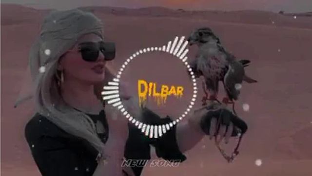 Dilbar New Irani Farsi Song 2023 смотреть онлайн