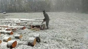 пасека, пчеловодство, пчеловодство для начинающих