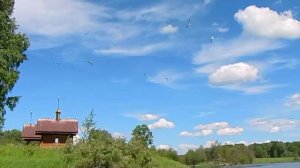 река Шуя и Логмозеро . Shuya river and Logmozero.