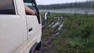 Тойота тойо айс