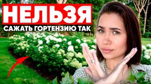 26 идей с гортензий из Pinterest которые изменят сад за 20 минут!