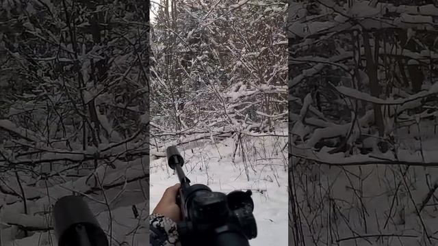 Первый мой лосяш. Этого сезона!