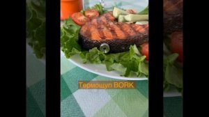 Кижуч на гриле Bork!  С термощупом!