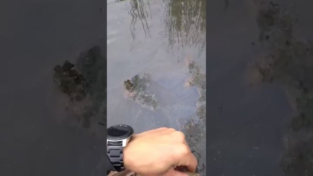 ч1.(архив) смотреть онлайн