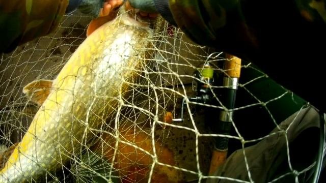 НОЯБРЬСКИЙ МОНСТР 2021 года \ Щука сломала катушку \ #рыбалка #спиннинг #щука