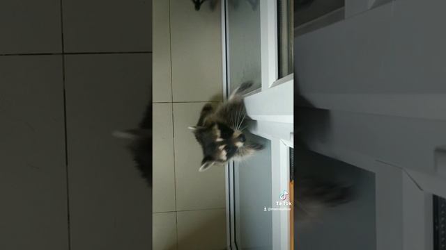 Питер релакс комната еноты