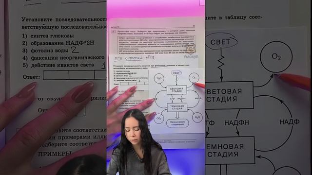 фотосинтез #биологияегэ #биология #умскул #жаннаказанская