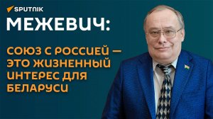 Межевич: уходящий 2024-й стал попыткой отодвинуть мировую катастрофу