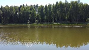 отдых с палаткой в красивом месте на реке картынь