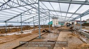 Металлический каркас телятника на 300 голов