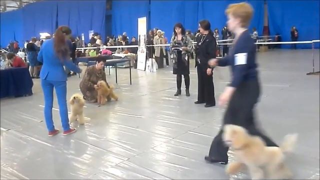 сравнение на ЛПП1 смотреть онлайн