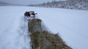Верхом на сене