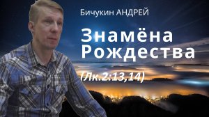 Бичукин Андрей. Знамёна Рождества