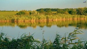 ПРОГУЛКА ПО РОСТОВСКОЙ ОБЛАСТИ