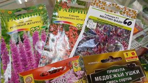 Скоро сеять многолетние цветы.