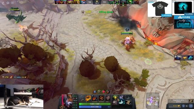 YO RUBICK HELP THIS BEAR ALREADY ◄ SingSing Moments Dota 2 Stream смотреть онлайн