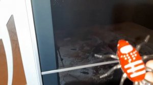 СОРЕВНОВАНИЕ ПАУКОВ! Дети играют КРАСНЫЙ ПАУК против ЗЕЛЁНОГО