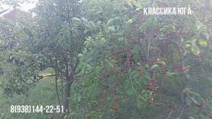 Покупка недвижимости в Крымске: дом с участком в идеальном месте Краснодарского края.