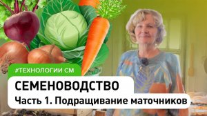 Семеноводство часть 1. Свои семена: лук, морковь, свёкла, капуста .Семеноводство без вырождения