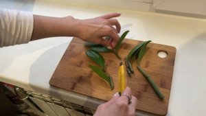 Замиокулькас. Уход, размножение листом.