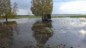 гусеничный вездеход "Омь"