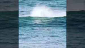 Ошибка выжившего