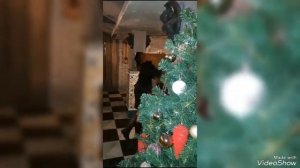 МОЛОТ ВЕДЬМ